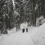 Fam. an der Bächelhütte Quelle:Fremdenverkehrsamt